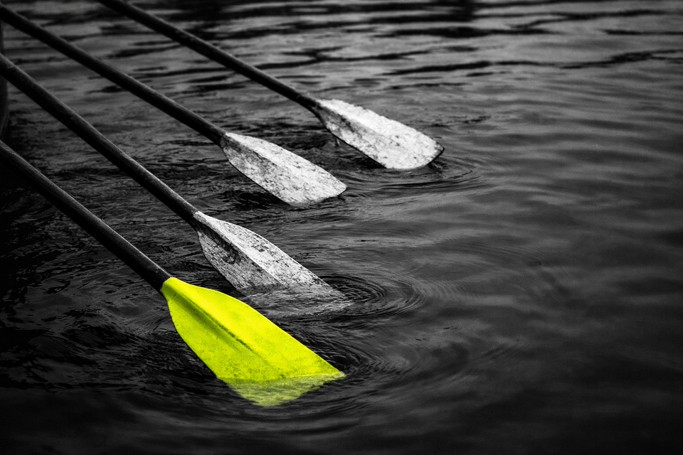 Rowing oars pointing in different directions above dark water, one blade in acid yellow